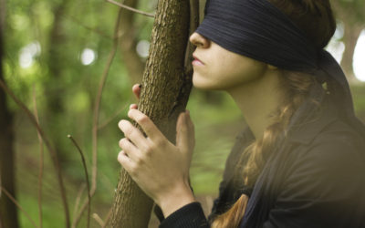 Top 10 Trust Walk Takeaways