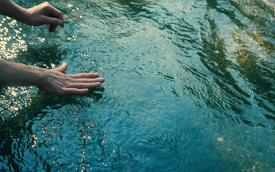 A Pause to Reflect