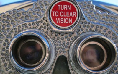 A Clear Picture of Vision