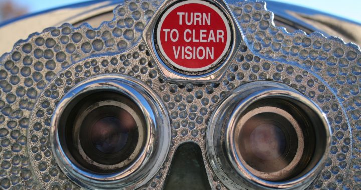 A Clear Picture of Vision