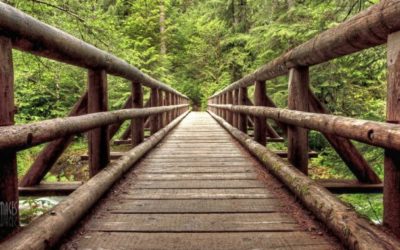 Guest Post: Let Them See