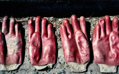 The Five Fingers of Trust