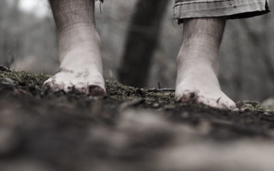 Uprooting False Beliefs