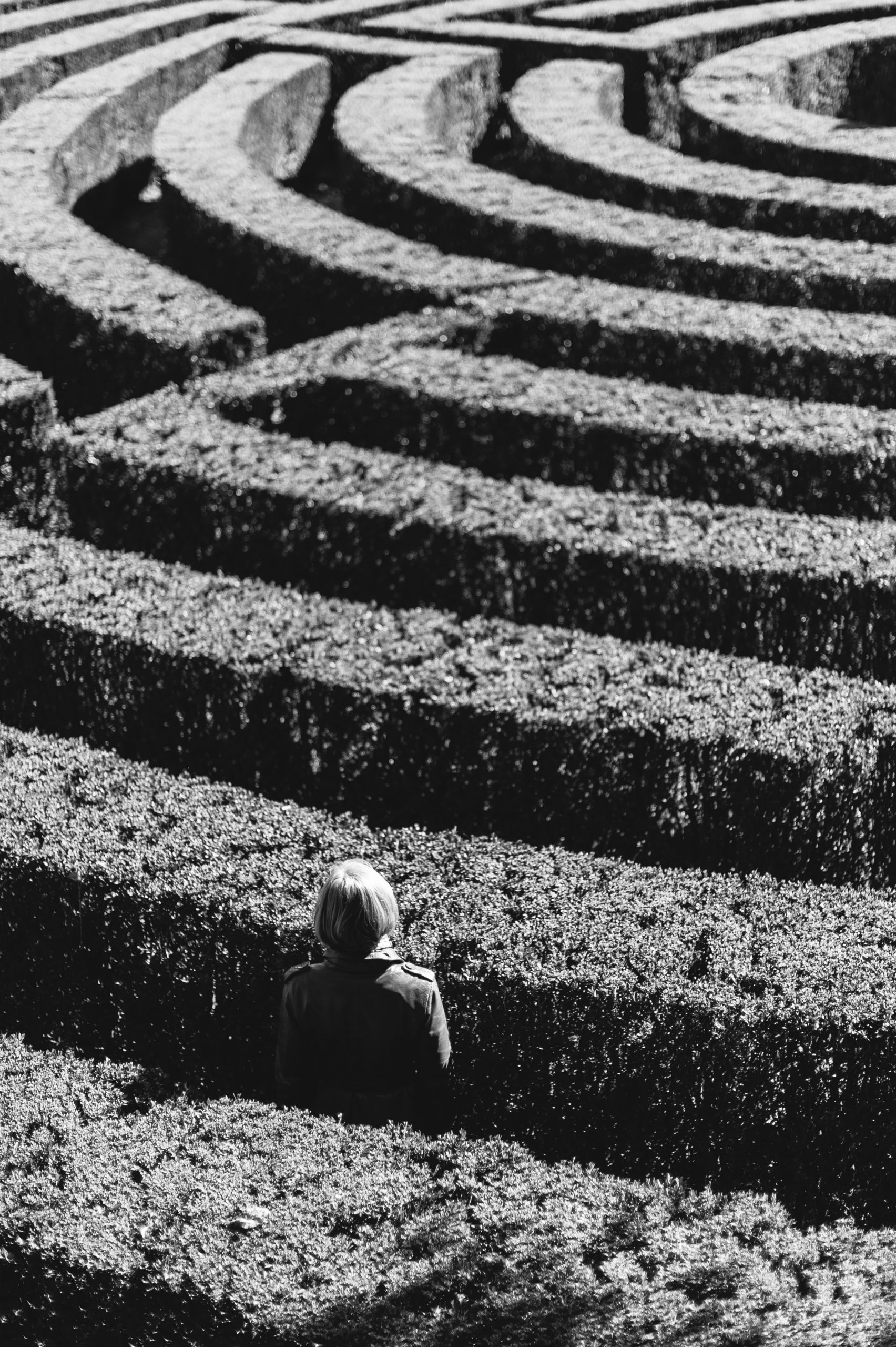 maksym-kaharlytskyi-1KdnEeZ-gLU-unsplash