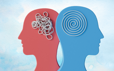 Two Kinds of Intelligence for Two Halves of Your Career