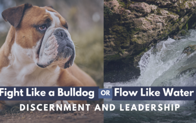 Fight Like a Bulldog or Flow Like Water? Discernment and Leadership